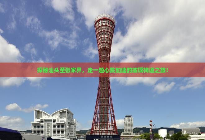 探秘汕头至张家界，走一趟心跳加速的玻璃栈道之旅！