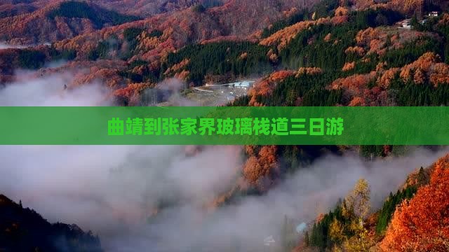 曲靖到张家界玻璃栈道三日游