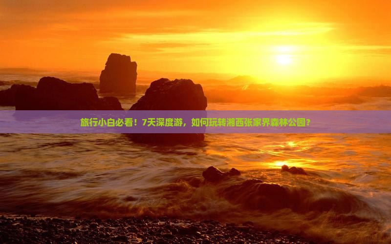 旅行小白必看！7天深度游，如何玩转湘西张家界森林公园？