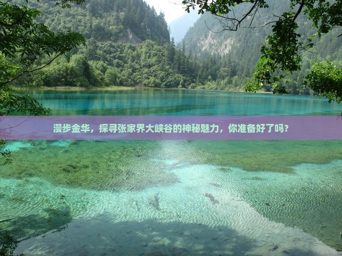 漫步金华，探寻张家界大峡谷的神秘魅力，你准备好了吗？