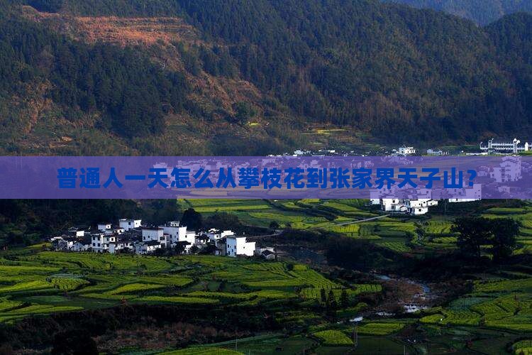 普通人一天怎么从攀枝花到张家界天子山？