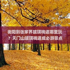 衡阳到张家界玻璃栈道哪里玩？天门山玻璃栈道成必游景点