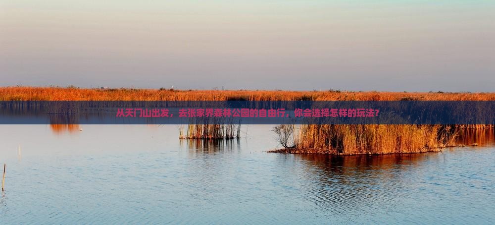从天门山出发，去张家界森林公园的自由行，你会选择怎样的玩法？