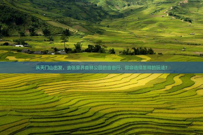 从天门山出发，去张家界森林公园的自由行，你会选择怎样的玩法？