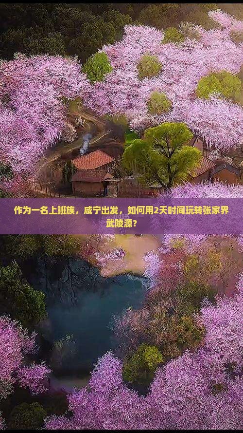 作为一名上班族，咸宁出发，如何用2天时间玩转张家界武陵源？
