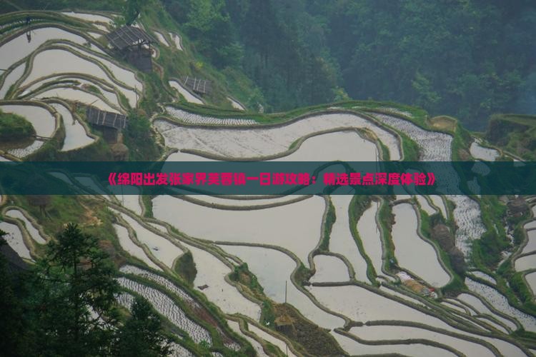《绵阳出发张家界芙蓉镇一日游攻略：精选景点深度体验》
