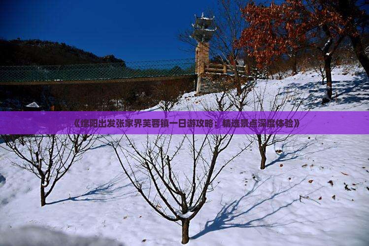 《绵阳出发张家界芙蓉镇一日游攻略：精选景点深度体验》