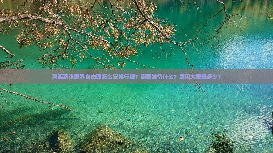 鸡西到张家界自由团怎么安排行程？需要准备什么？费用大概是多少？