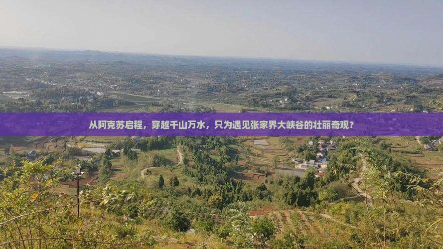 从阿克苏启程，穿越千山万水，只为遇见张家界大峡谷的壮丽奇观？
