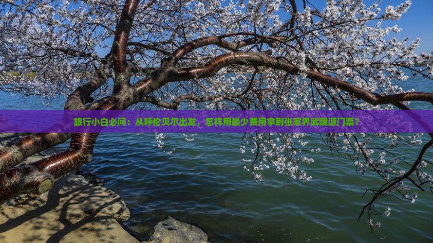 旅行小白必问：从呼伦贝尔出发，怎样用最少费用拿到张家界武陵源门票？