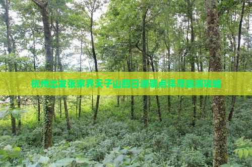 杭州出发张家界天子山四日游景点详尽旅游攻略