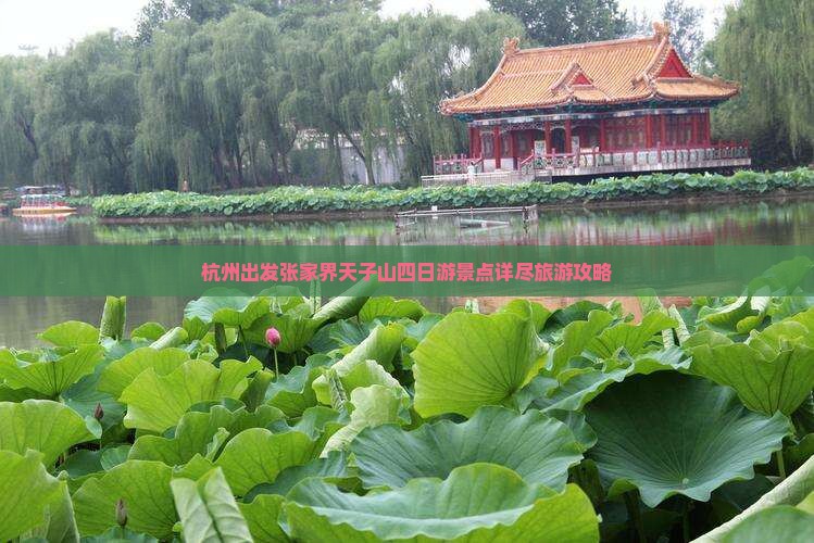 杭州出发张家界天子山四日游景点详尽旅游攻略