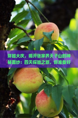 穿越大庆，揭开张家界天子山的神秘面纱：四天探险之旅，你准备好了吗？