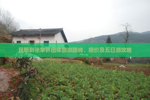 昆明到张家界团体旅游路线、报价及五日游攻略