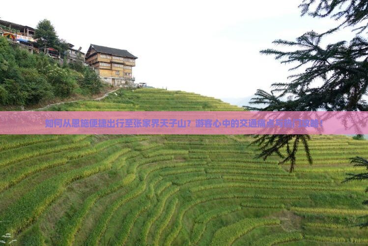 如何从恩施便捷出行至张家界天子山？游客心中的交通痛点与热门攻略！