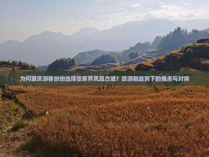 为何肇庆游客纷纷选择张家界凤凰古城？旅游新趋势下的痛点与对病