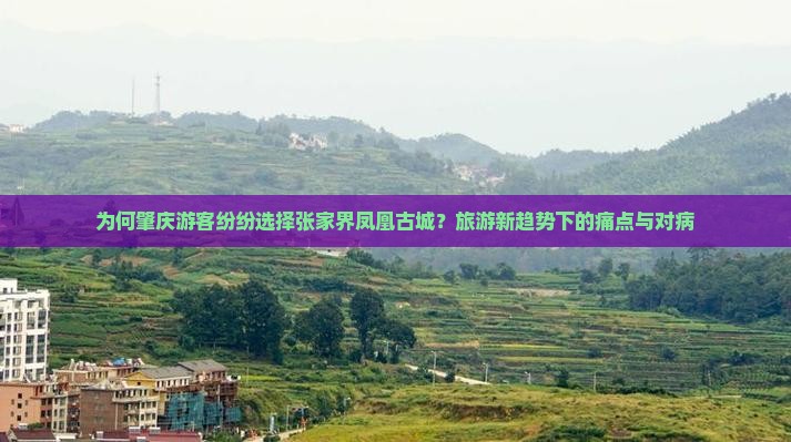 为何肇庆游客纷纷选择张家界凤凰古城？旅游新趋势下的痛点与对病