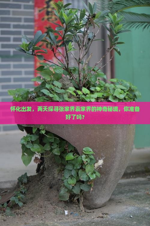 怀化出发，两天探寻张家界袁家界的神奇秘境，你准备好了吗？