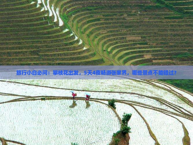 旅行小白必问：攀枝花出发，5天4夜畅游张家界，哪些景点不能错过？