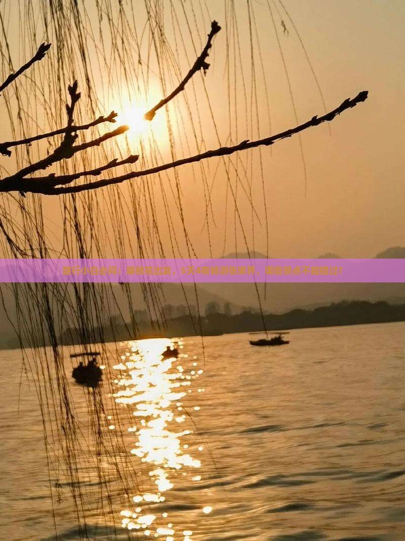 旅行小白必问：攀枝花出发，5天4夜畅游张家界，哪些景点不能错过？