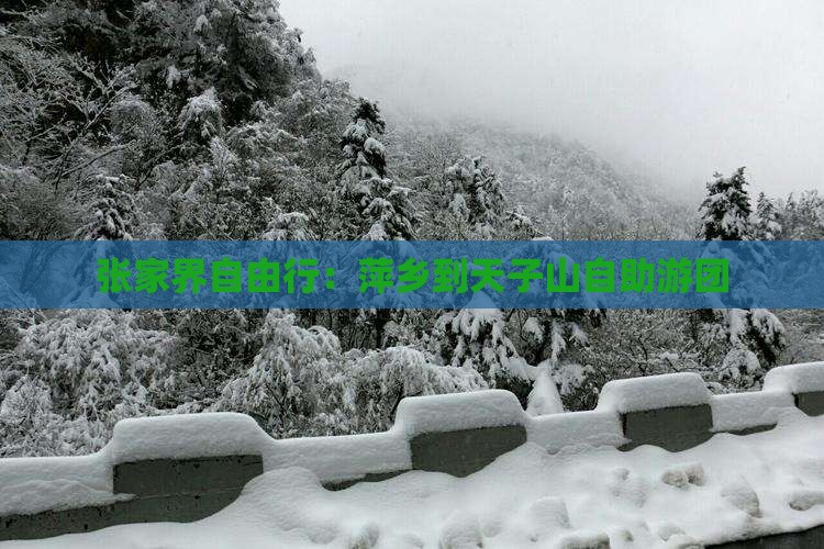 张家界自由行：萍乡到天子山自助游团
