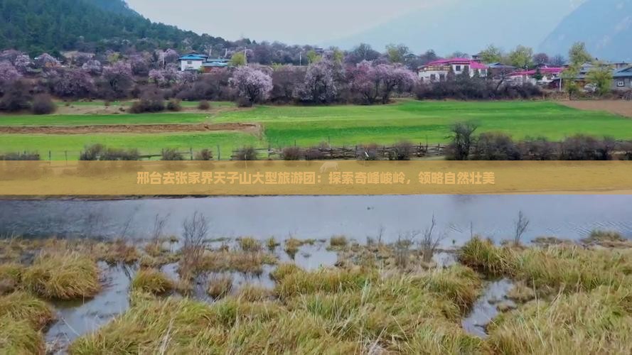 邢台去张家界天子山大型旅游团