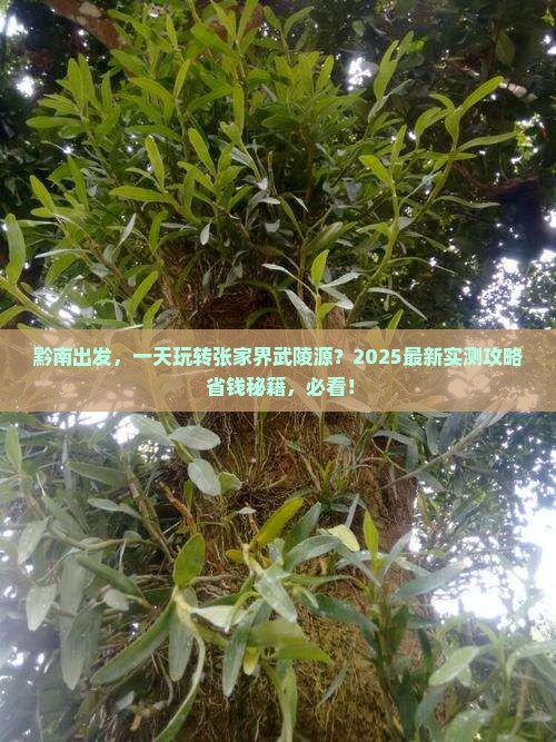 黔南去张家界武陵源一日