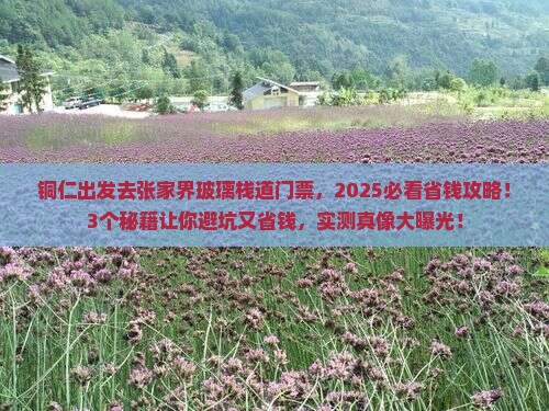 铜仁去张家界玻璃栈道门票 铜仁去张家界玻璃栈道门票