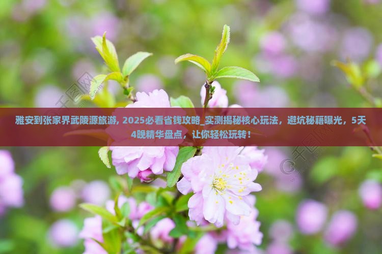 雅安到张家界武陵源旅游