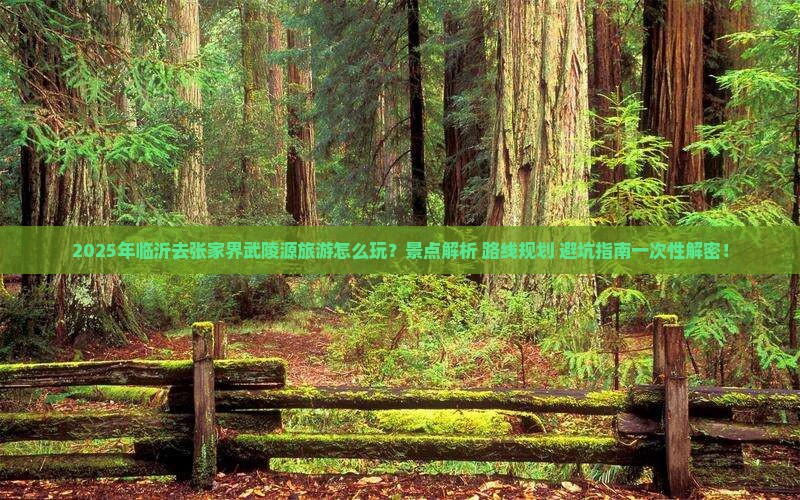 临沂去张家界武陵源哪里玩