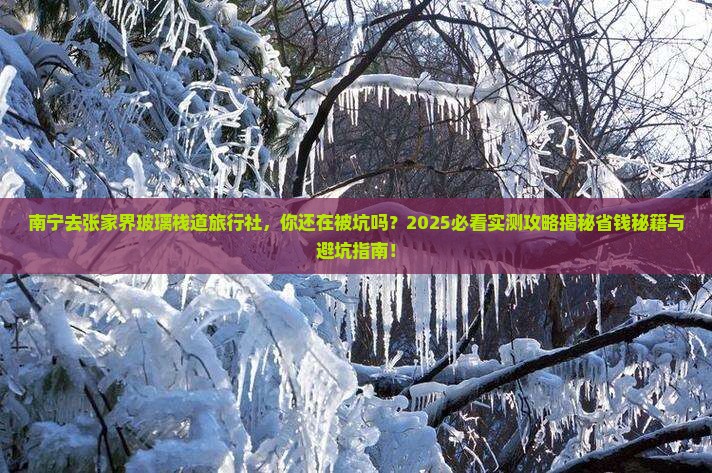 南宁去张家界玻璃栈道旅行社 南宁去张家界玻璃栈道旅行社