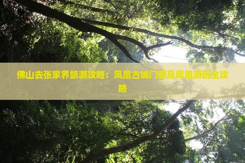 佛山去张家界凤凰古城门票