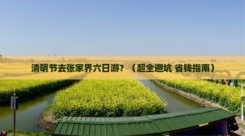 清明节到张家界六日游
