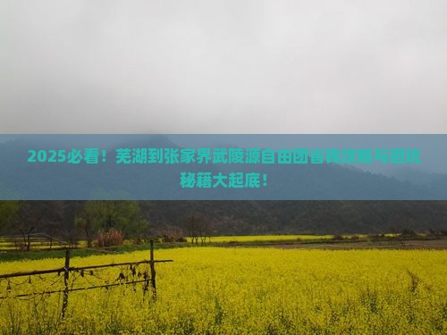 芜湖到张家界武陵源自由团