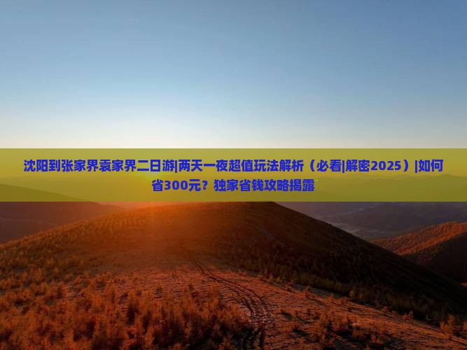 沈阳到张家界袁家界二日游