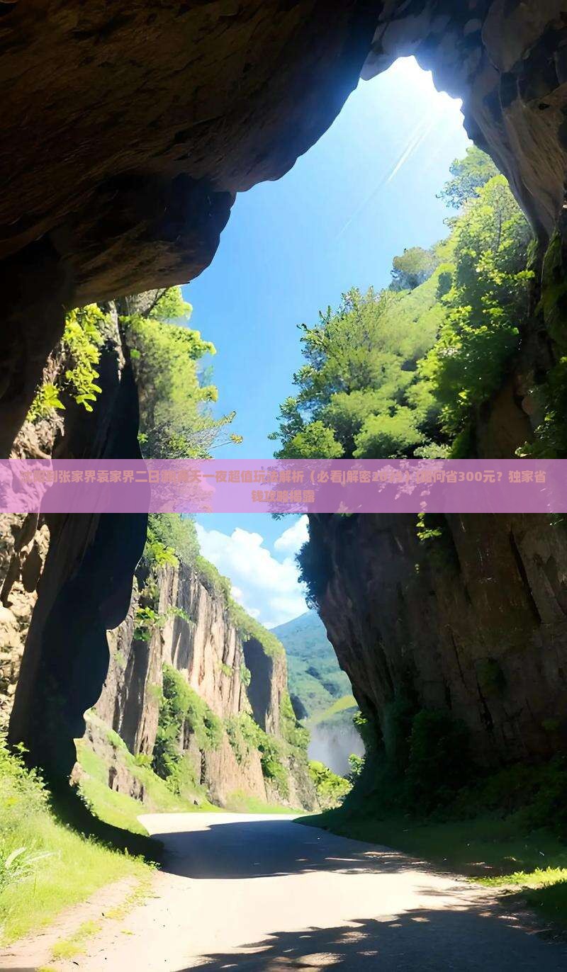 沈阳到张家界袁家界二日游