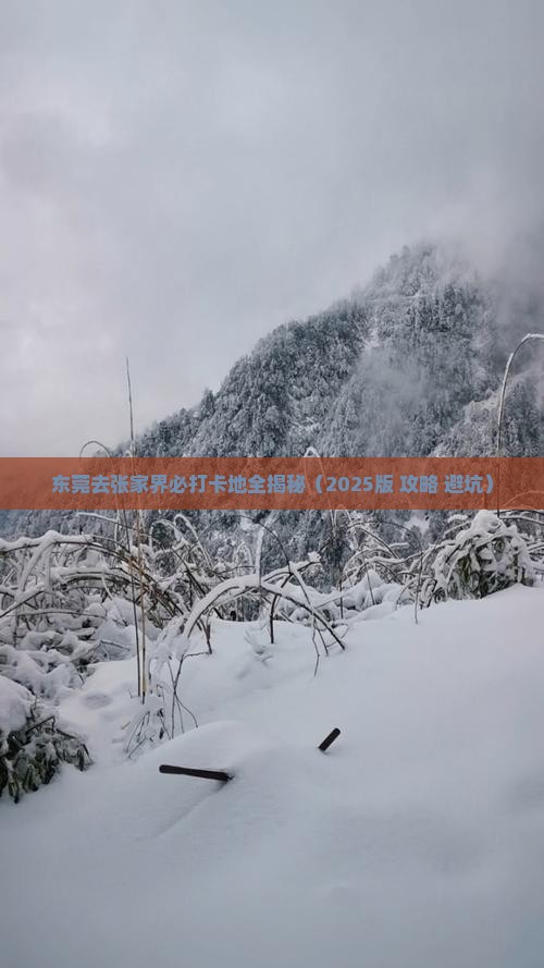 东莞去张家界必去地