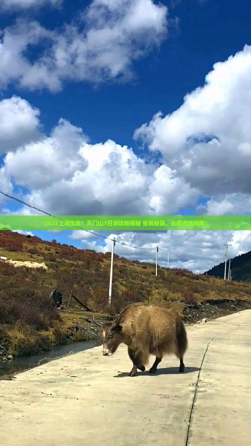 上海去张家界天门山旅行社