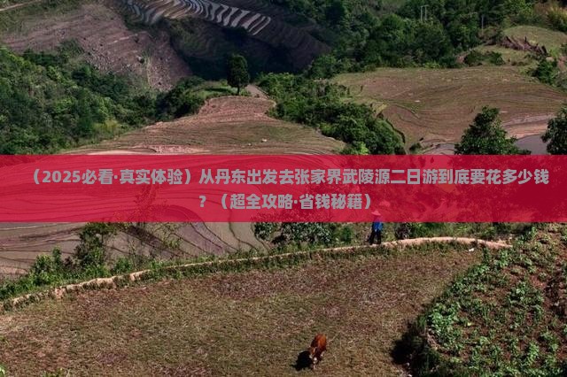 丹东到张家界武陵源二日游