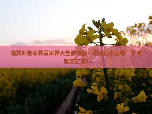 临夏到张家界袁家界大型旅游团
