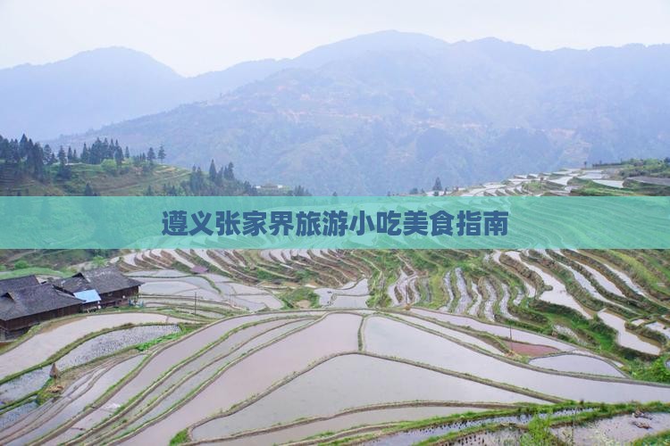 遵义去张家界旅游小吃