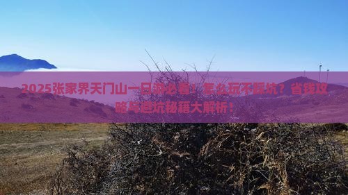 思茅去张家界天门山一日 思茅去张家界天门山一日