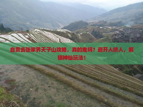 自贡去张家界天子山攻略