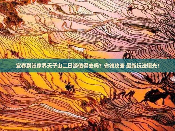 宜春到张家界天子山二日游