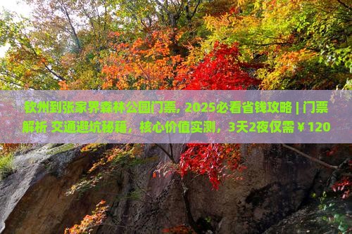钦州到张家界森林公园门票