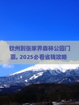 钦州到张家界森林公园门票