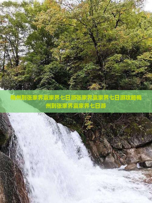 梅州到张家界袁家界七日游