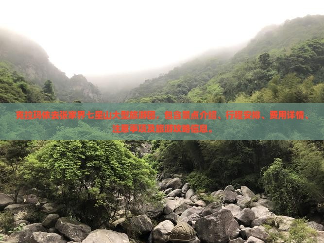 克拉玛依去张家界七星山大型旅游团