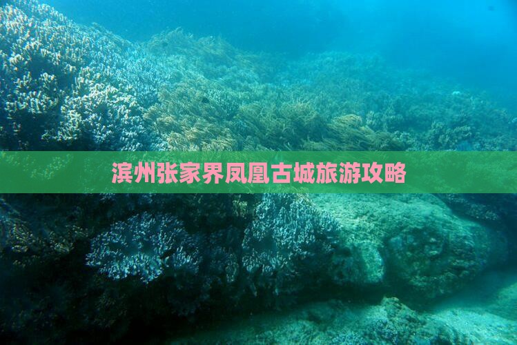 滨州去张家界凤凰古城个人游