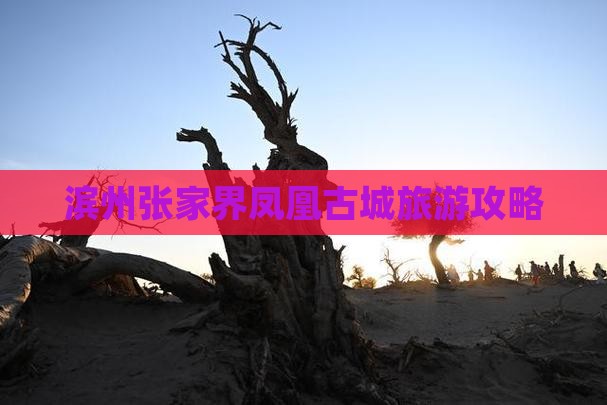 滨州去张家界凤凰古城个人游